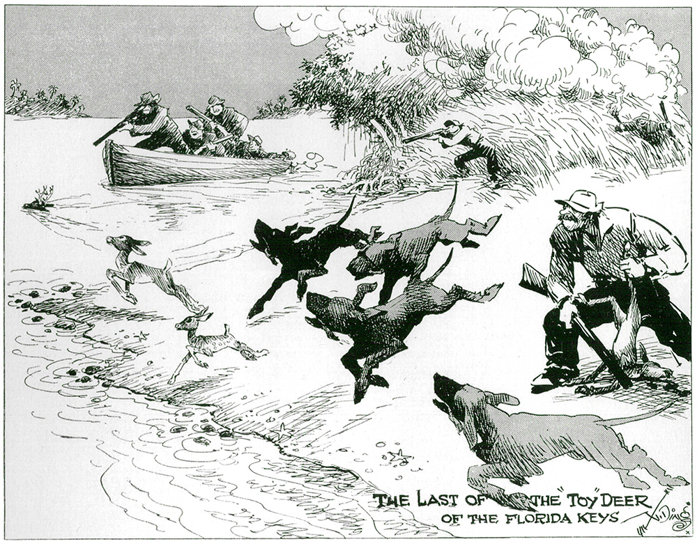 impact11-keydeer-cartoon.jpg