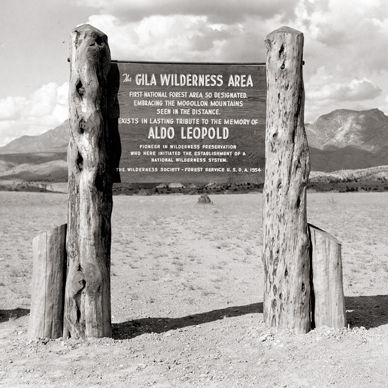 impact12-wilderness-aldoleopoldgilawilderness-800.jpg
