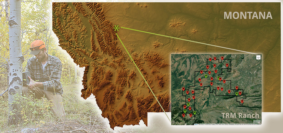 impact19-research-trmtrailcam.jpg