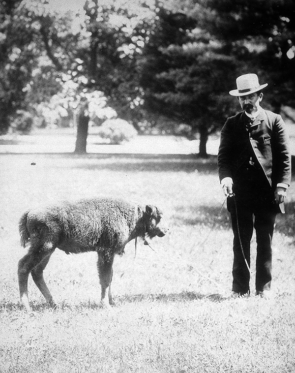 impact4-bisoncalf1886.jpg