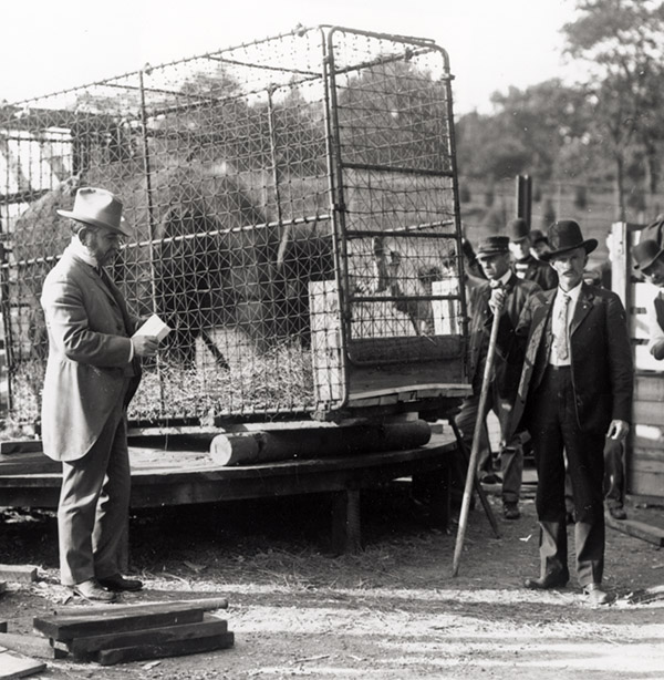 impact4-hornaday-releasingbison.jpg
