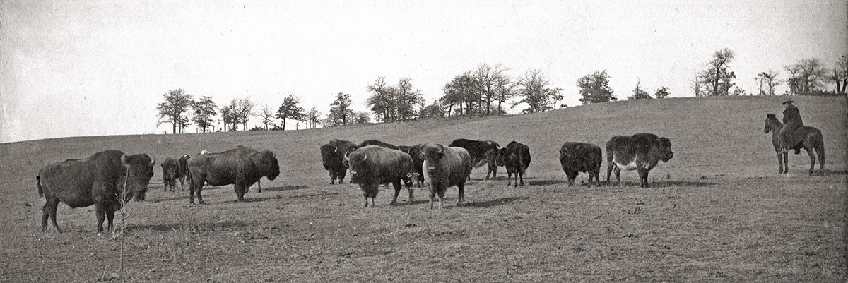 impact4-wichitabison-19691.jpg