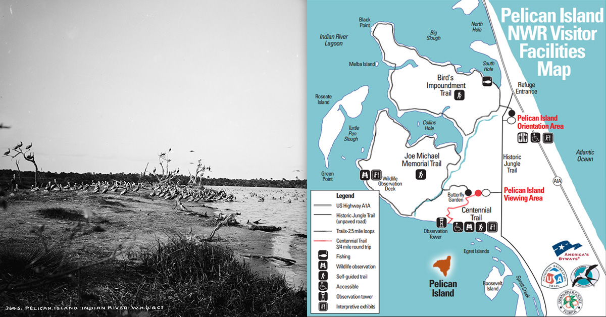 impact_refuges1-pinwr2.jpg