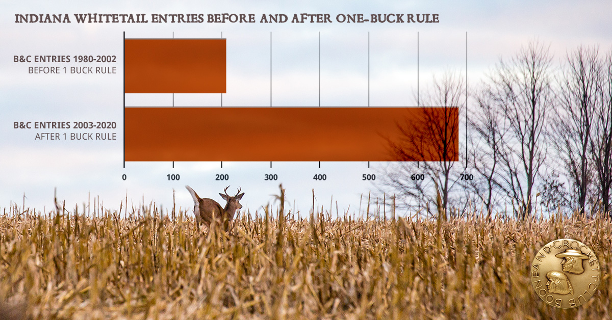 in_buckrevival_beforeafter.jpg