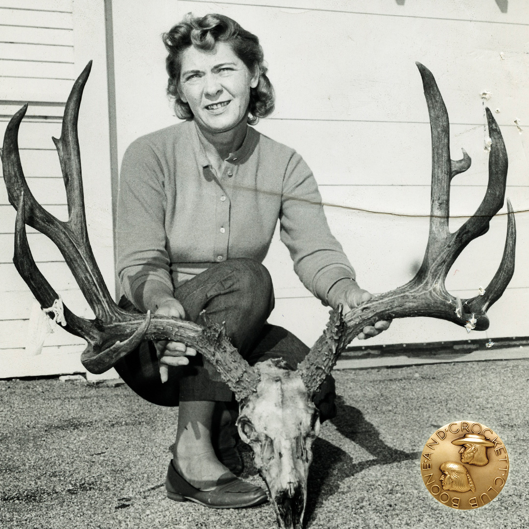 in_the_field_mule_deer_memories_1080px_v1.jpg