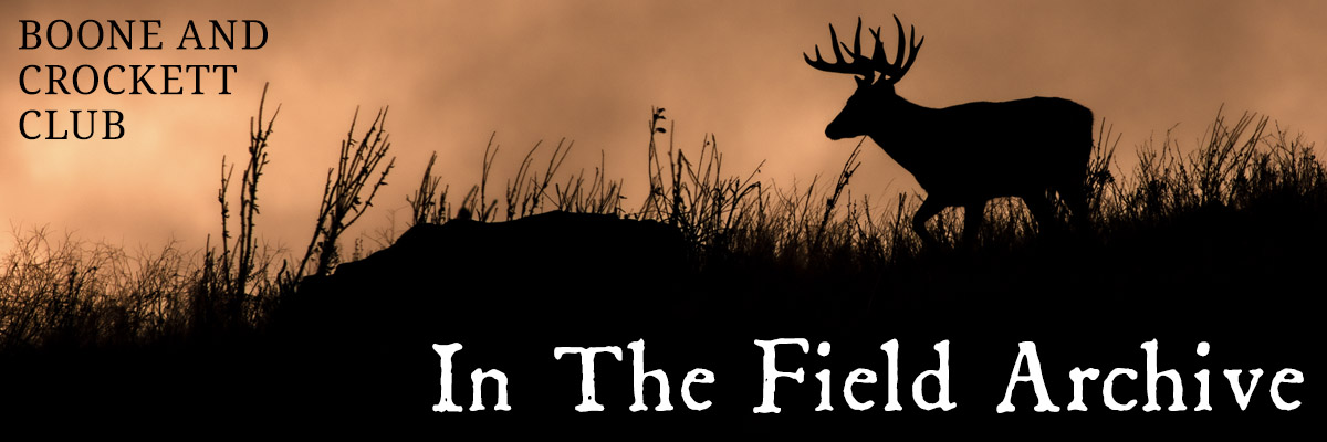 inthefield-webarchive-header.jpg