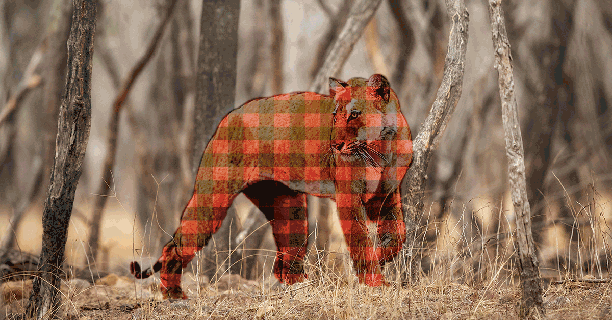 july2021-tiger-plaid-camo-fl.gif