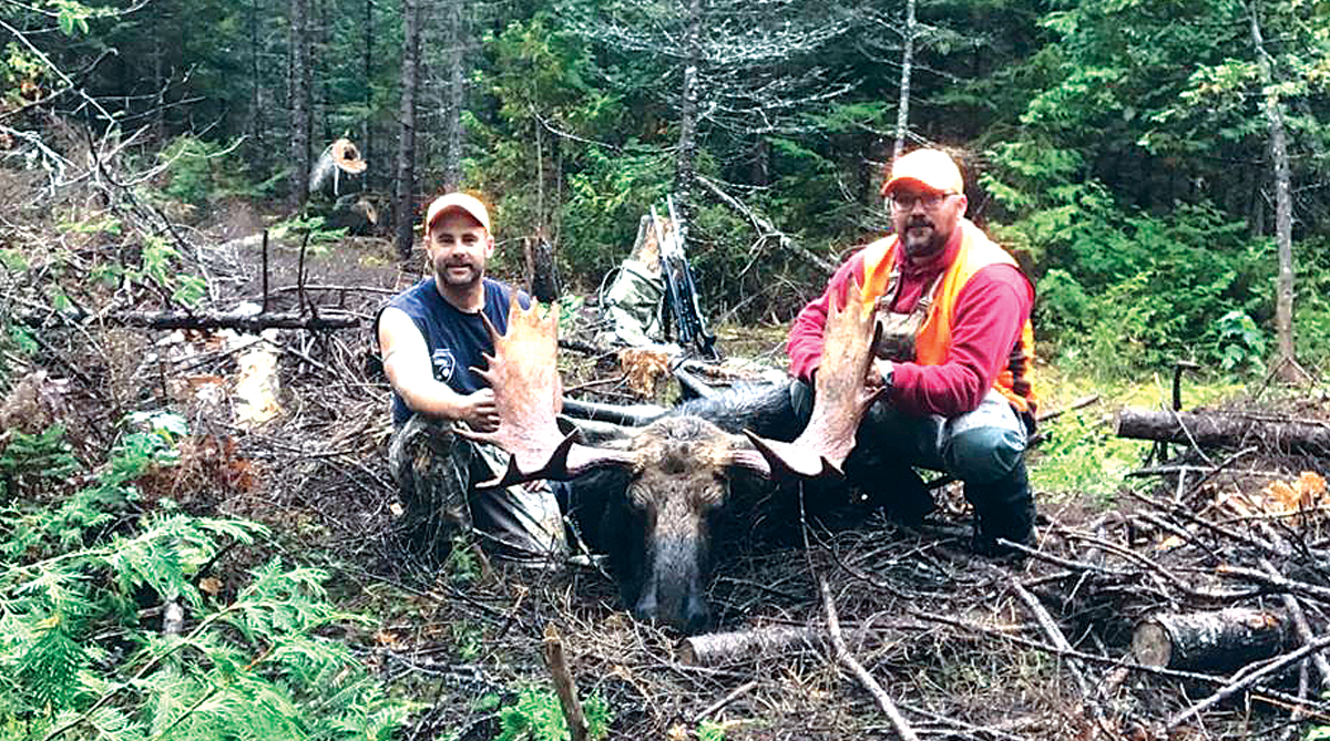 justinmoose_5.jpg