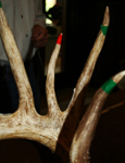 KingBuck_99_218.jpg