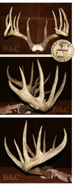 KingBuck_trio.jpg