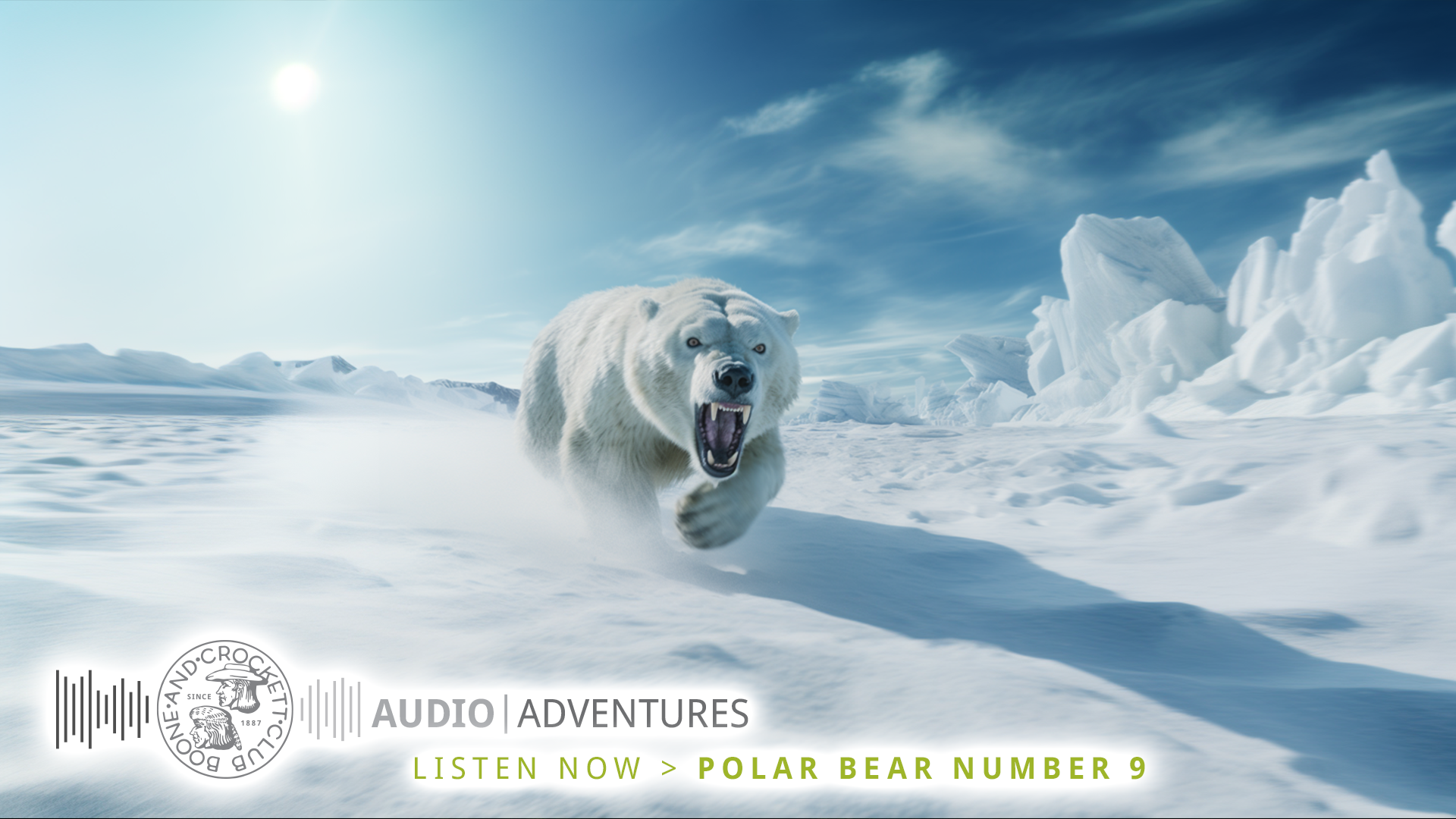 Polar Bear Number 9 – A B&C Audio Adventure | Boone and Crockett Club