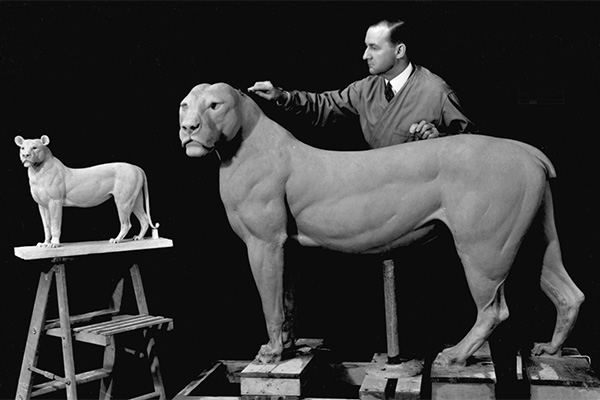 memberspotlight-clark-lion2.jpg