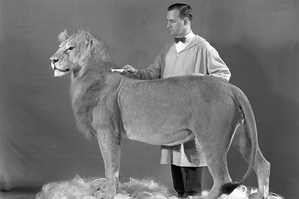 memberspotlight-clark-lion4.jpg