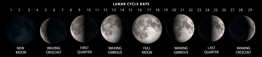 moons_1010px.png