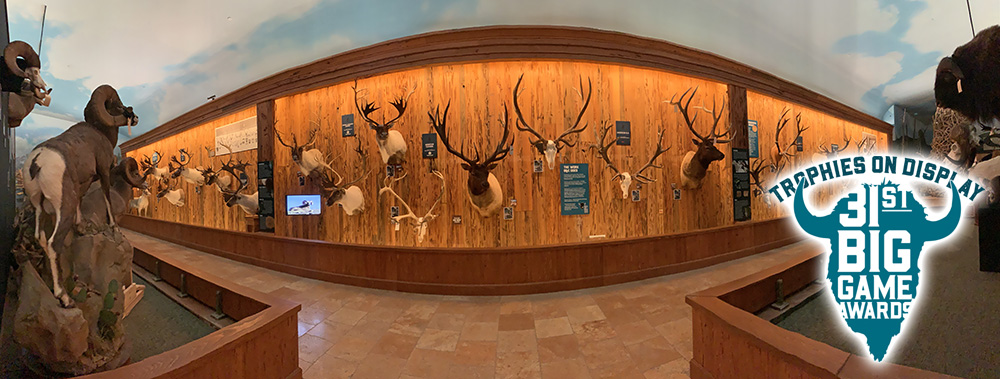 nchhcentennial-31stawards-trophydisplay-img_7673.jpg