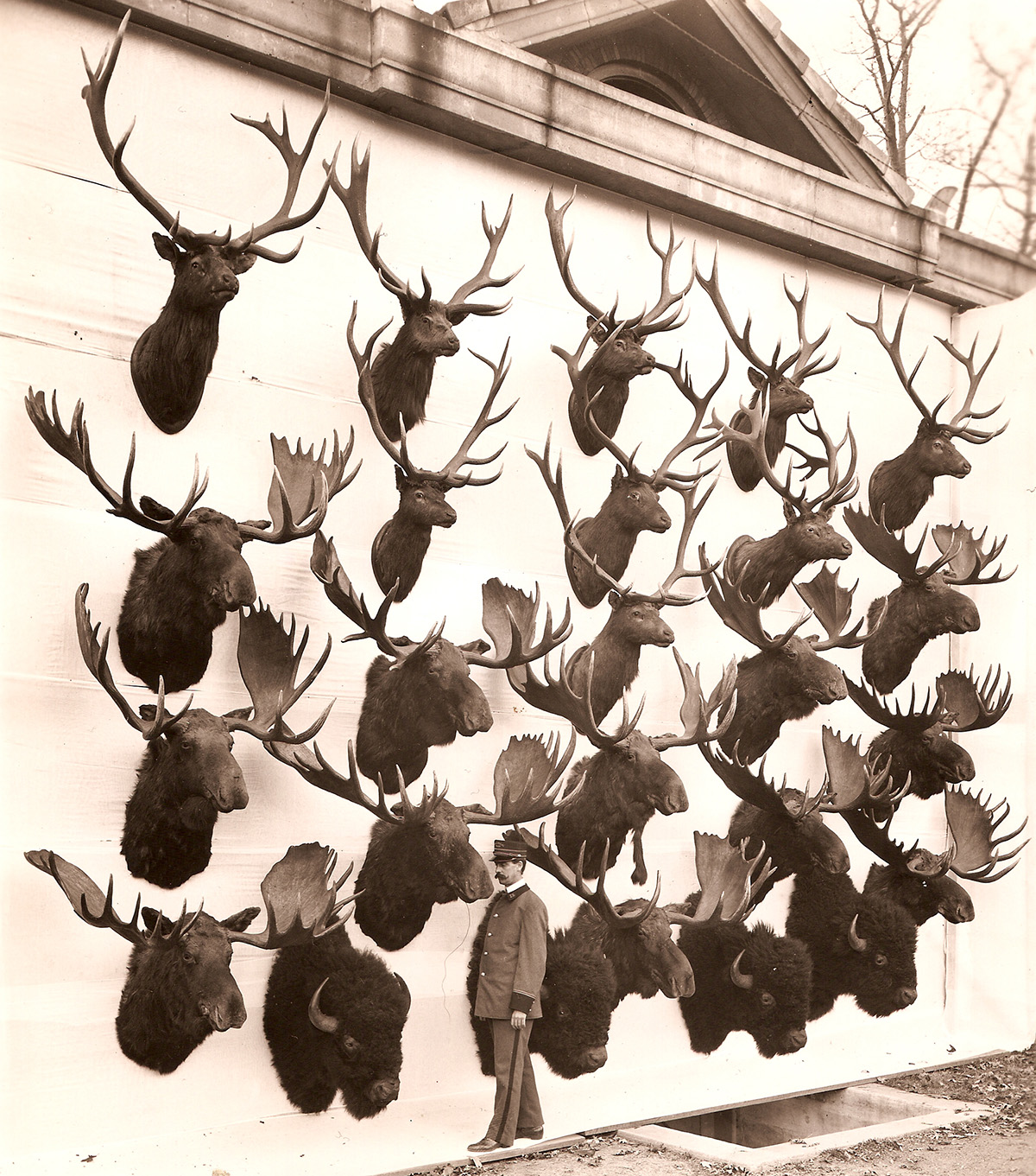 nchhcentennial-mackaycollection.jpg