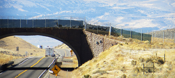 news-infrastructure-crossing-08-10-2021.jpg