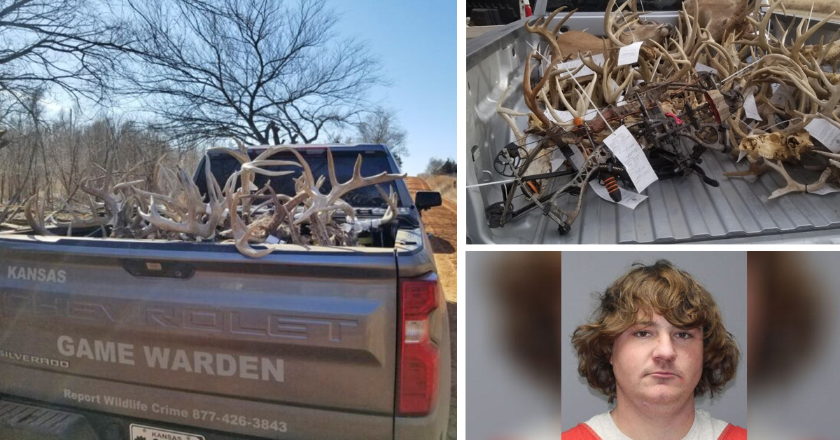 news-pp-kansascollage-a.jpg