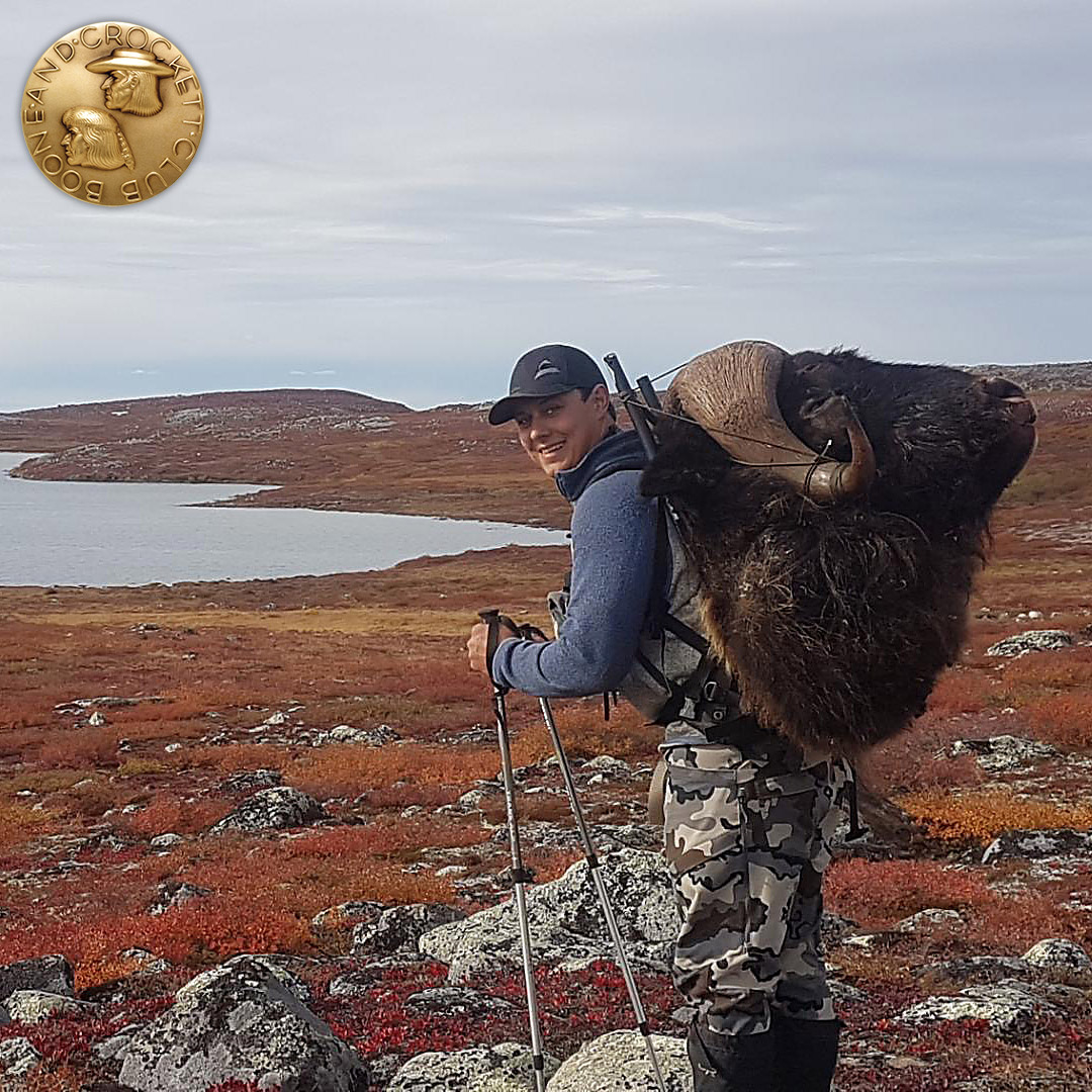 newwrmuskox-ig.jpg
