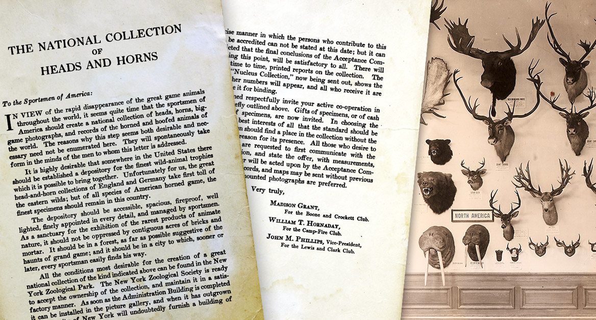 nucleuscollection-letter-part1.jpg
