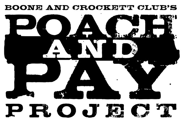 pp_logotype.jpg