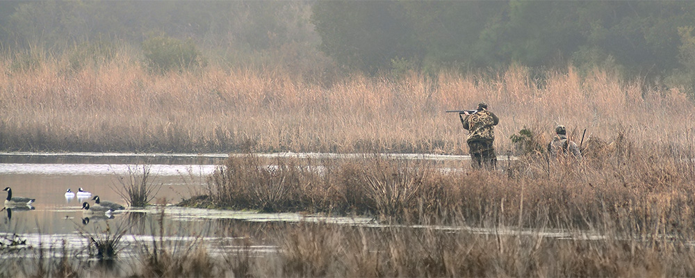 rec2-birdhunters-istock-459014505-header.jpg