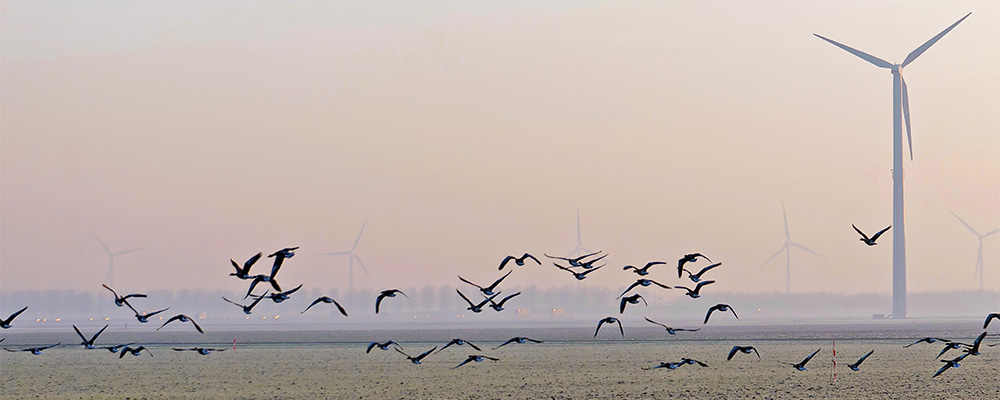 rec4_-_istock-502091818-header.jpg