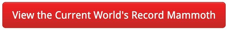 red_button.png