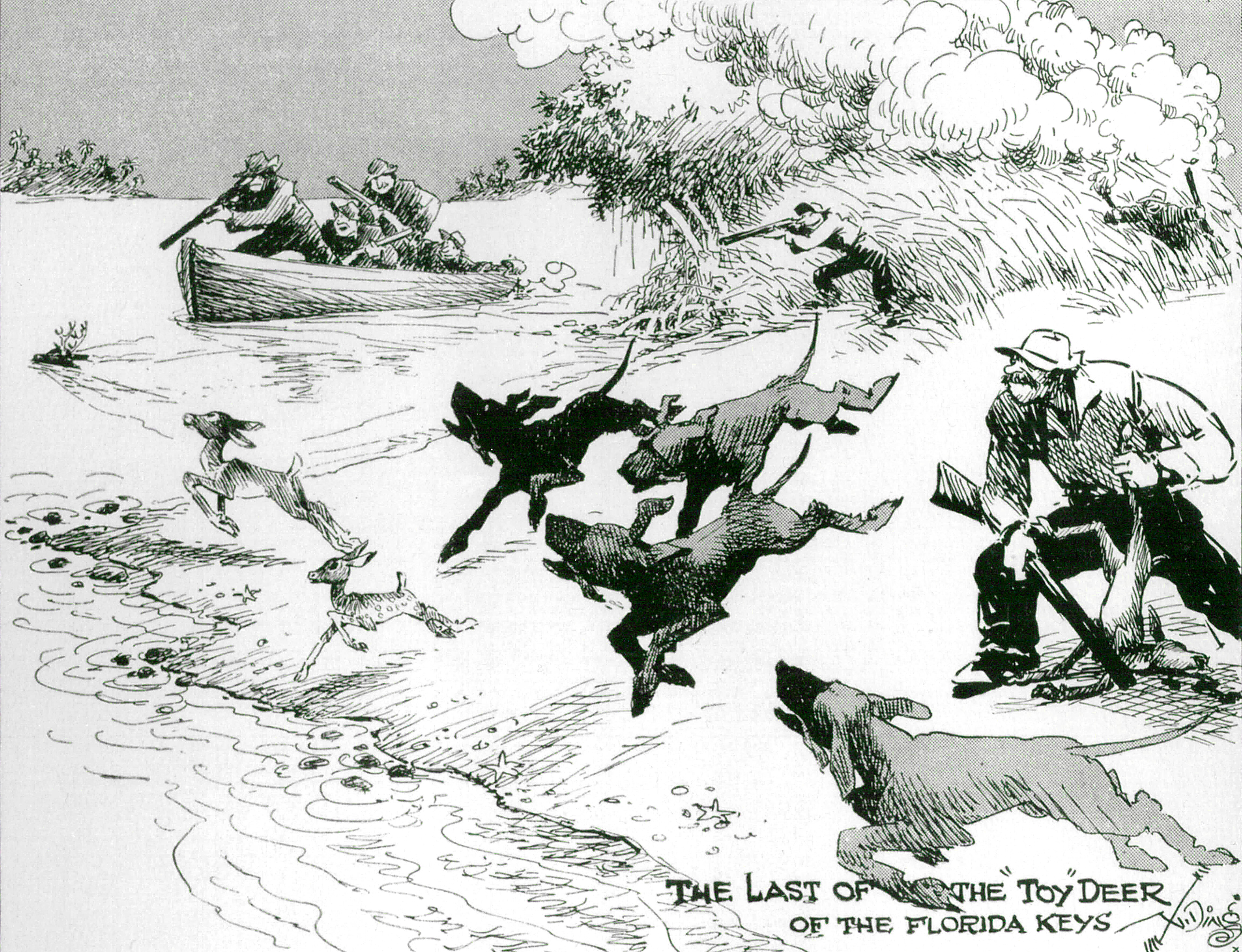REFUGE_DingDarling-KeyDeer.jpg