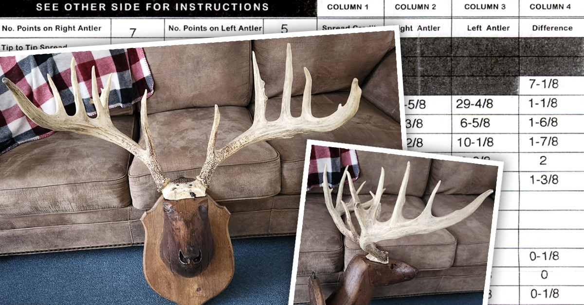 ross-antlercollector-fatherm.jpg