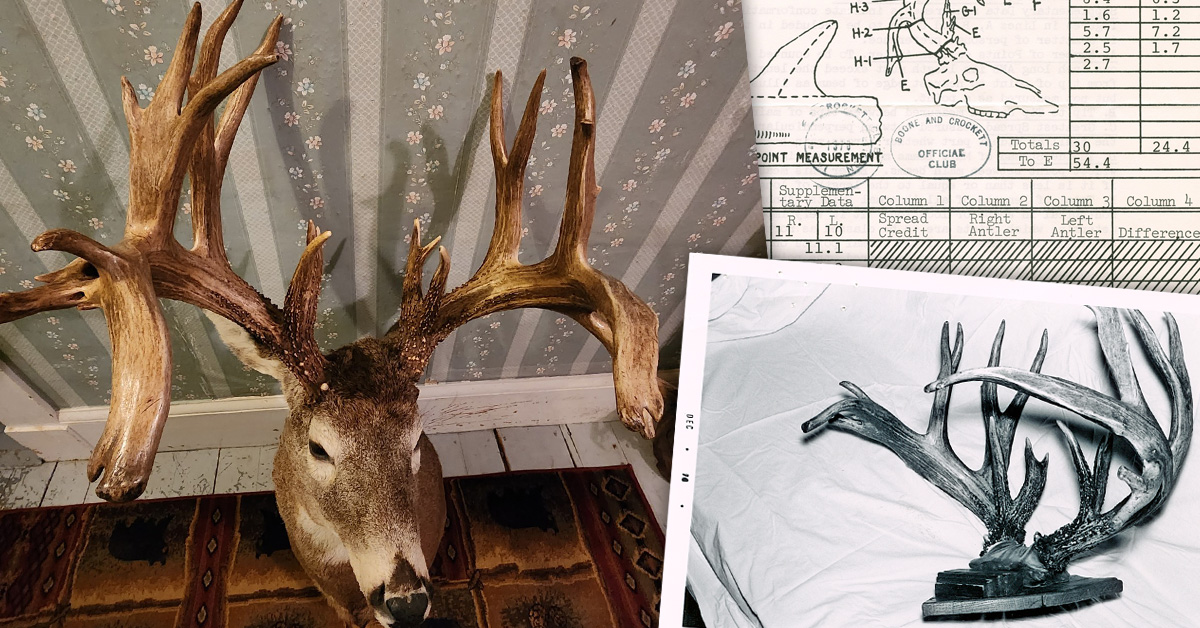 ross-antlercollector-flora.jpg