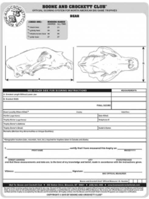 Bear scorechart icon