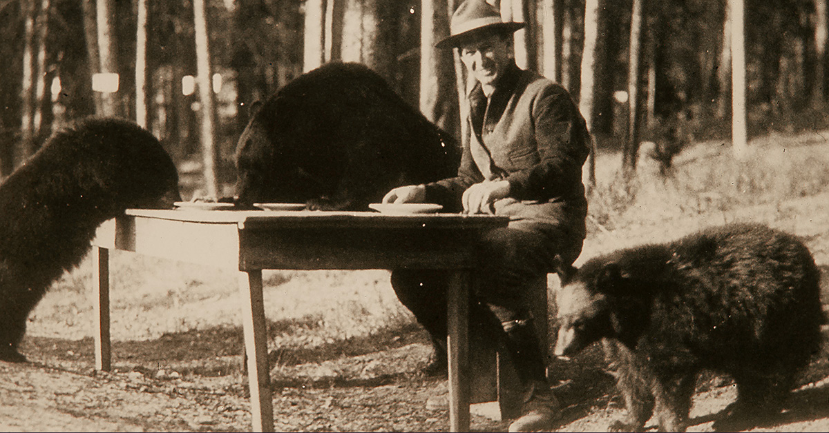 spotlight-horacealbrightpancakesbears-original.jpg