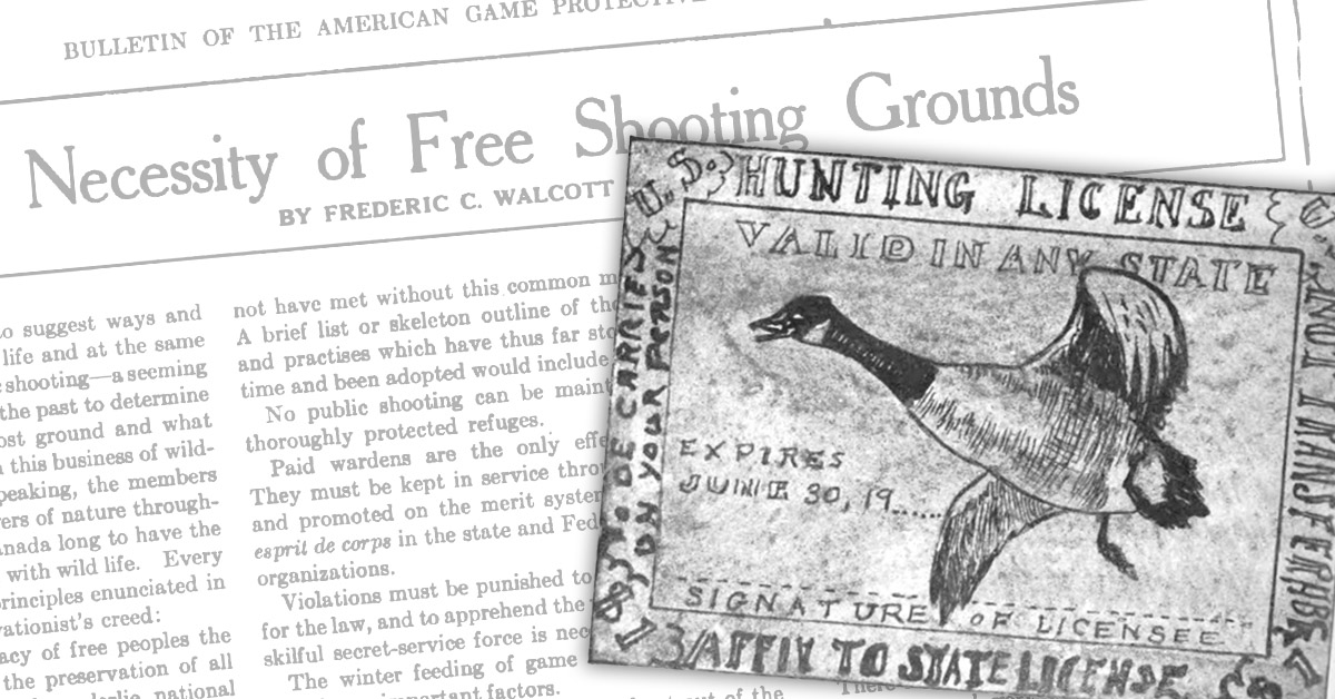 spotlight-walcott-firstduckstamp.jpg