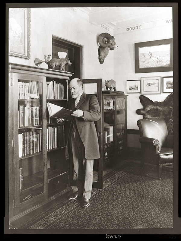 spotlight_hornaday-portrait1910.jpg