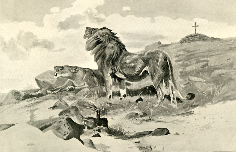spotlight_selous-grave.jpg