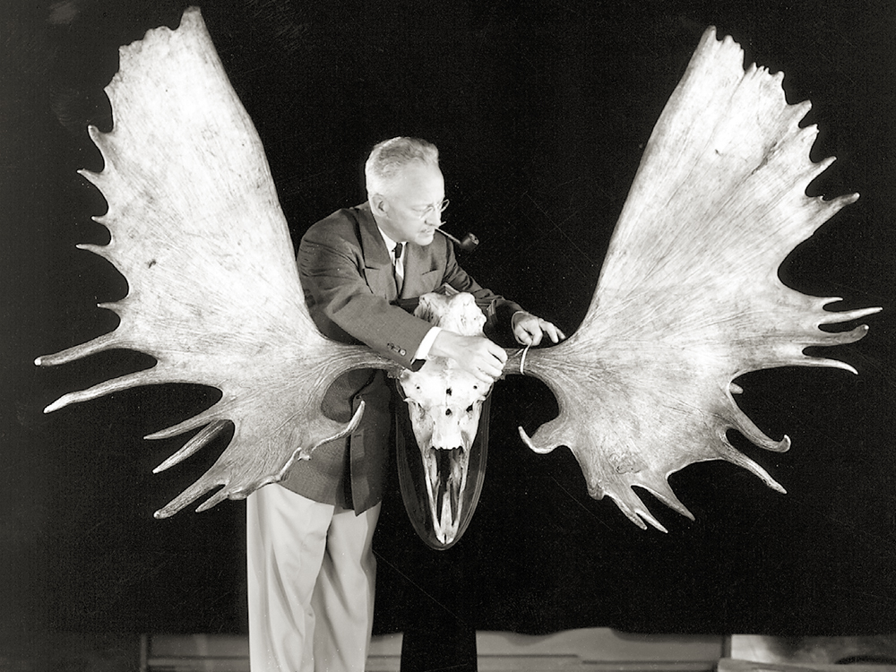 SS-NCHH-FitzScoringReedMoose.jpg