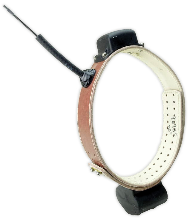 tbspotlight-ats-collar.jpg