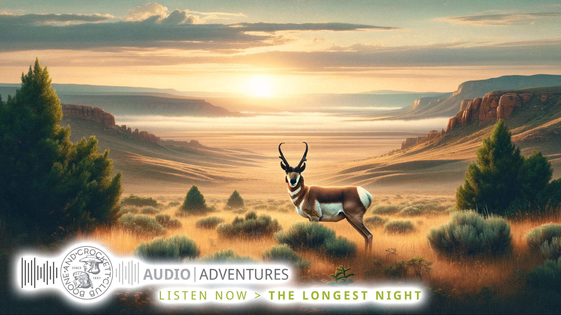 the_longest_night-webpageheader-.png