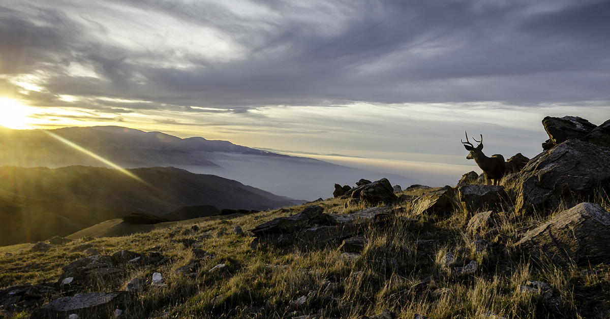 AWCP unifying summit