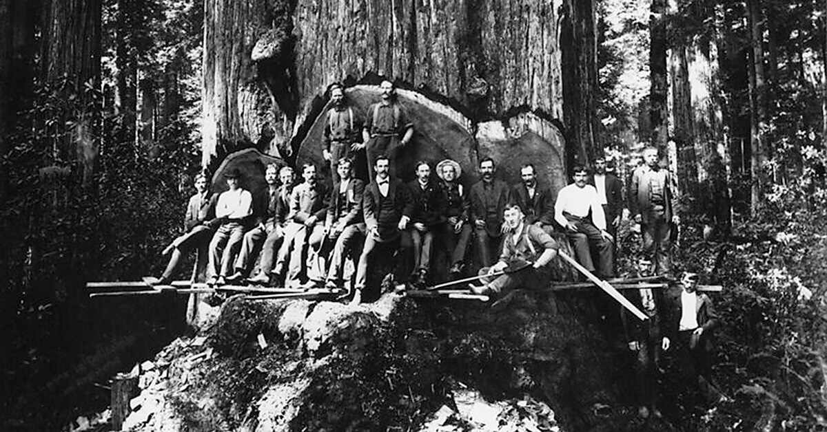 Organic Administration Act