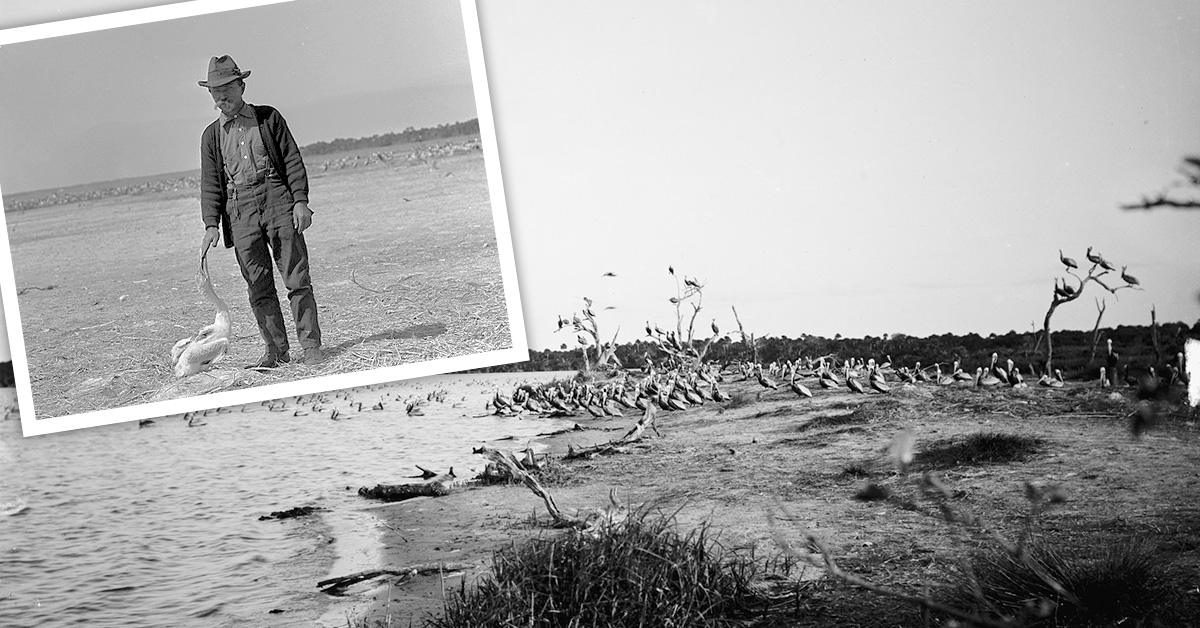 National Wildlife Refuge System