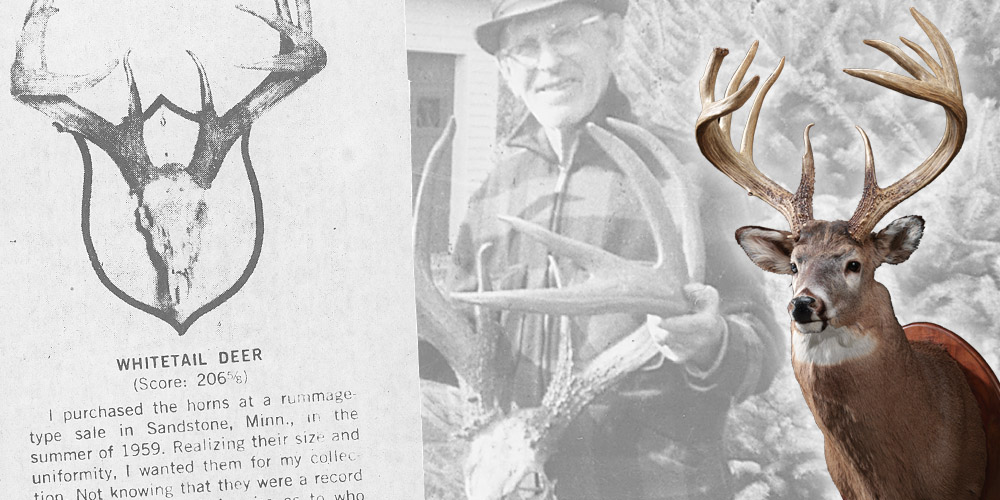 top5whitetails-2.jpg