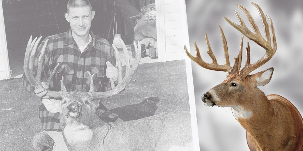 top5whitetails-4.jpg