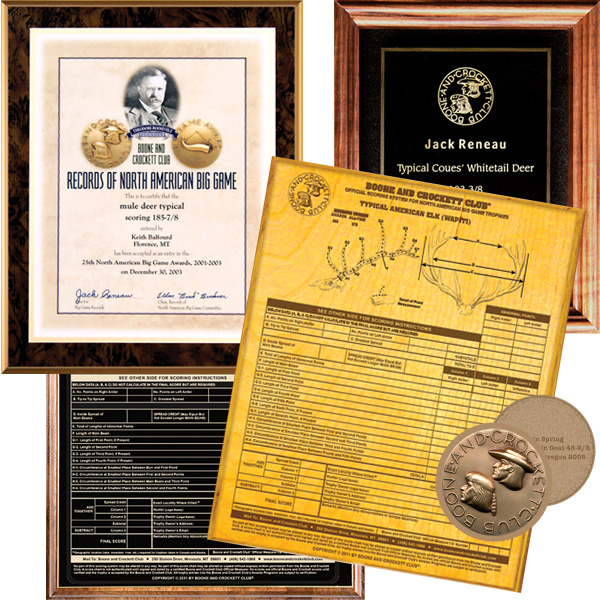 trophyplaque-collage2.jpg
