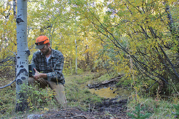up_fellow_hansenchris_trailcam.jpg