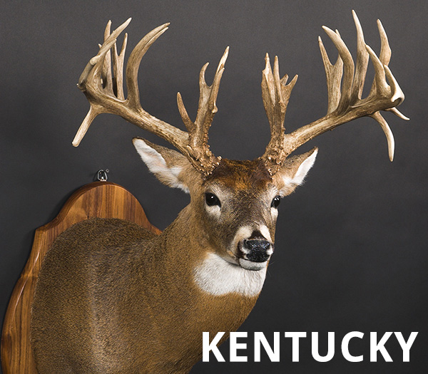 web-6-kentucky.jpg