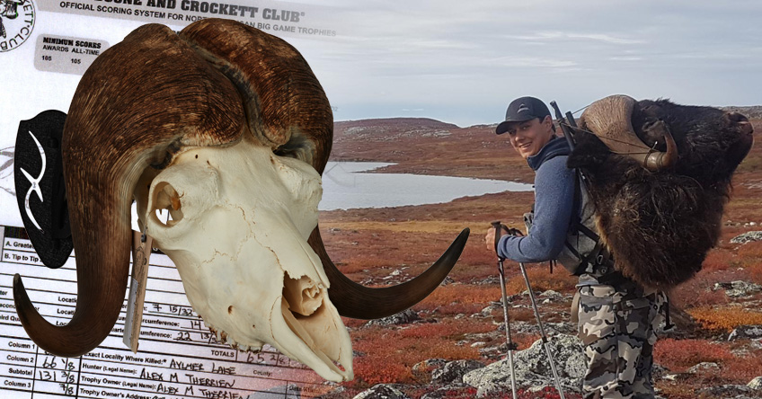 wr-muskox-therrien-header.jpg
