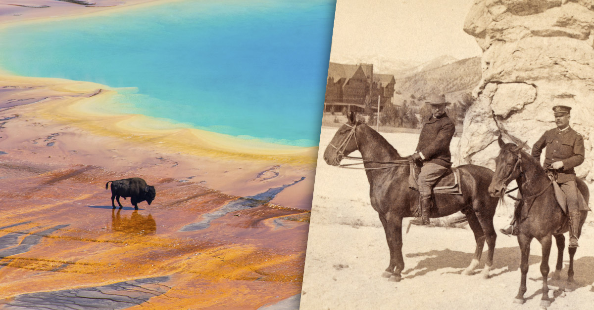 ynp150_header.jpg