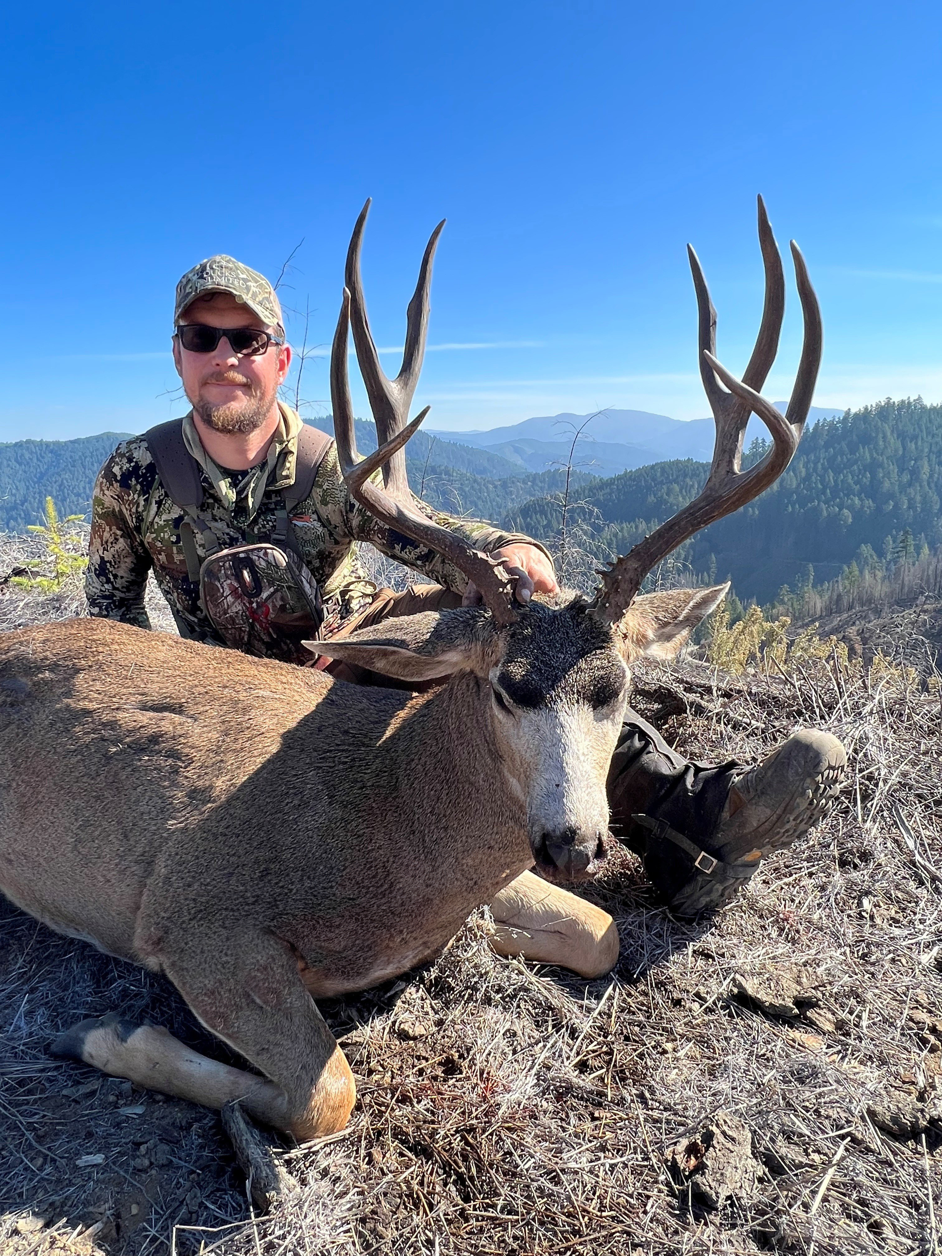 TYPICAL COLUMBIA BLACKTAIL DEER